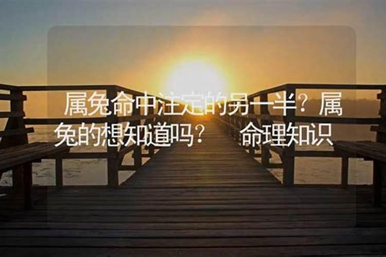 属兔女人命中注定的另一半