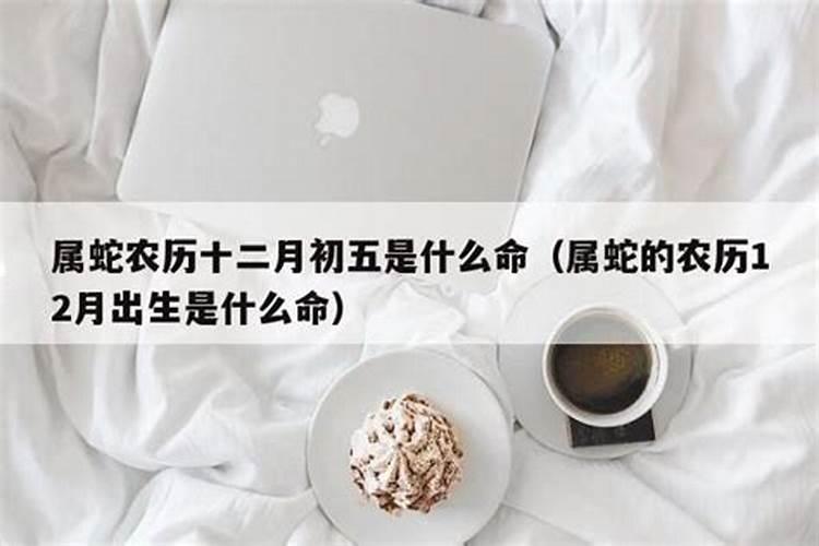 属蛇农历4月出生是什么命人