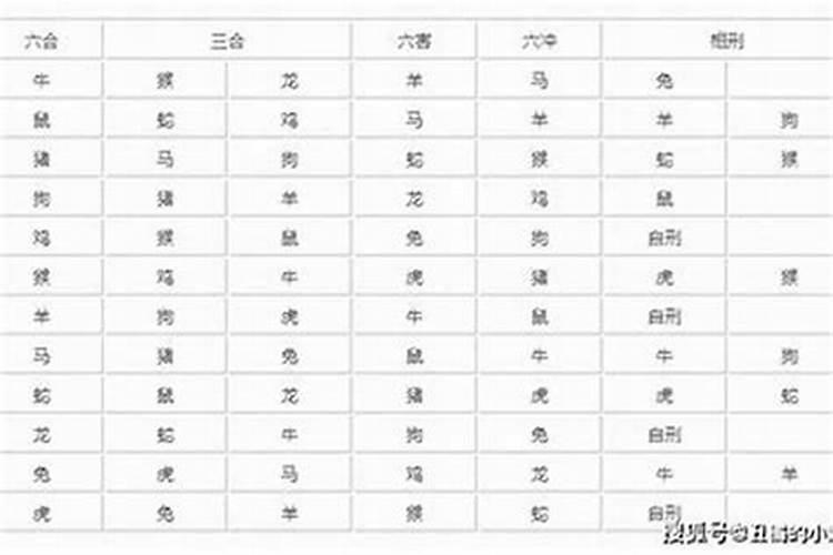 孩子生肖跟父母生肖冲不冲