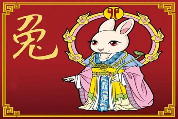 属兔今年忌什么颜色的