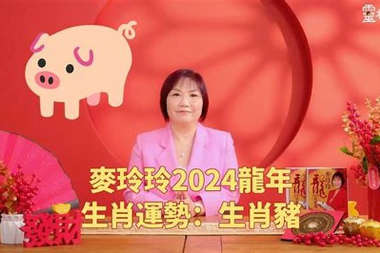 属猪人2021年运势麦玲玲