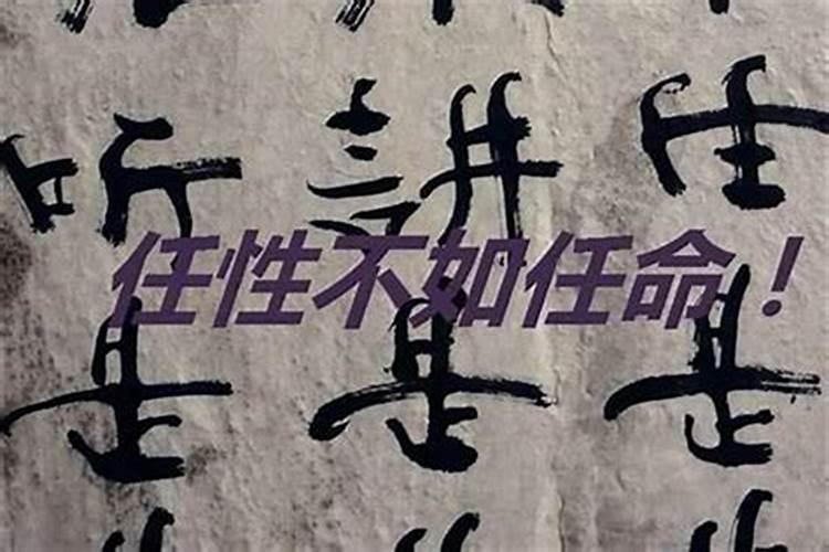 晚字五行属什么属性的名字