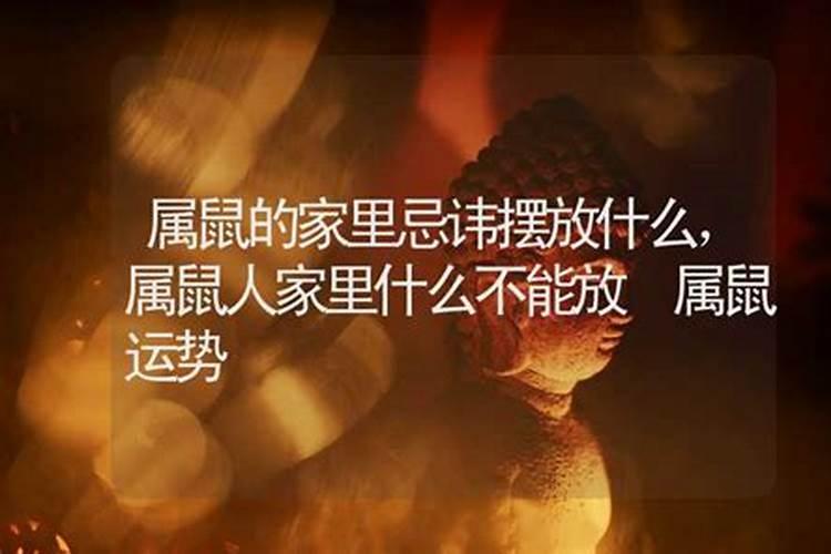 属鼠人家中不宜摆什么属相，属鼠人能在家中摆虎吗