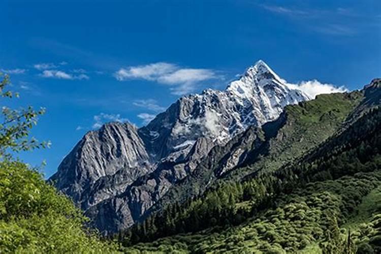 梦见下山没有路回家