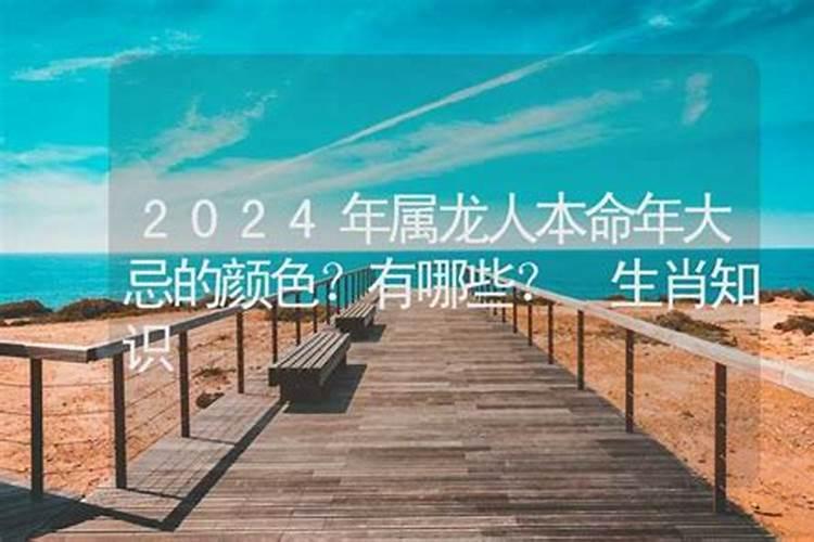 生肖兔今年运势2024