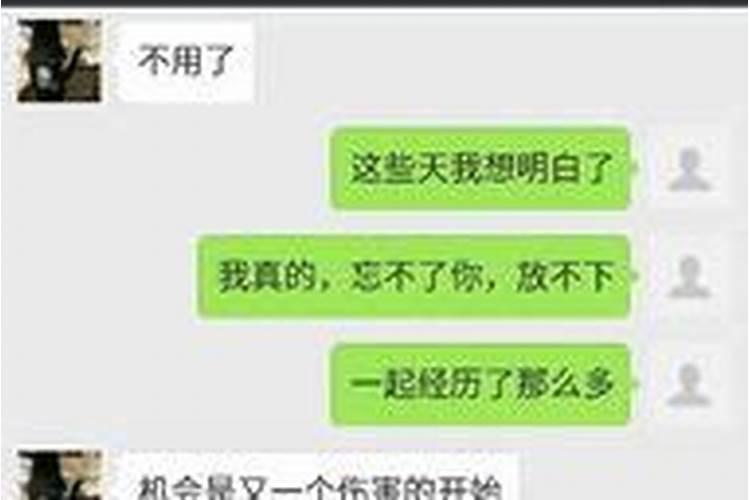 梦见女生发信息给我