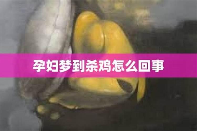 孕妇梦见鸡怎么回事