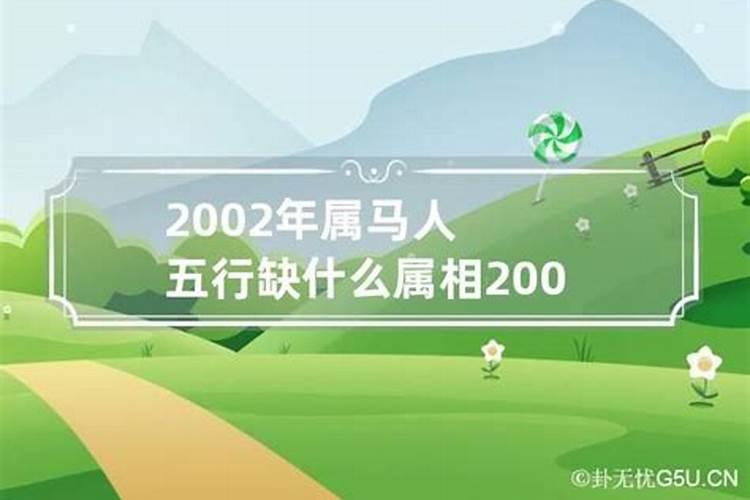 2002的马是什么命五行属水还是木？