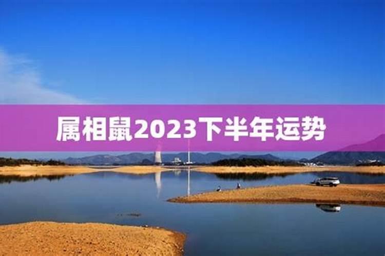 属鼠的2023下半年运势及运程