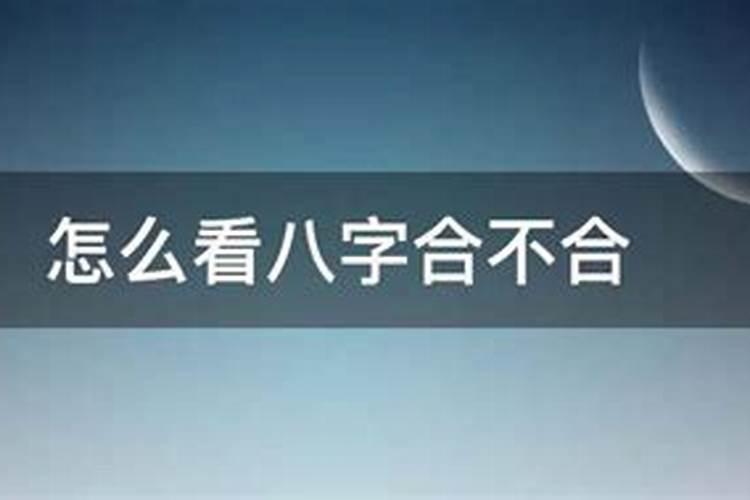 梦见双头蛇咬自己后来把蛇打死了