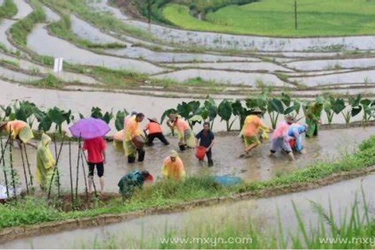 男人梦见很多狗是什么意思