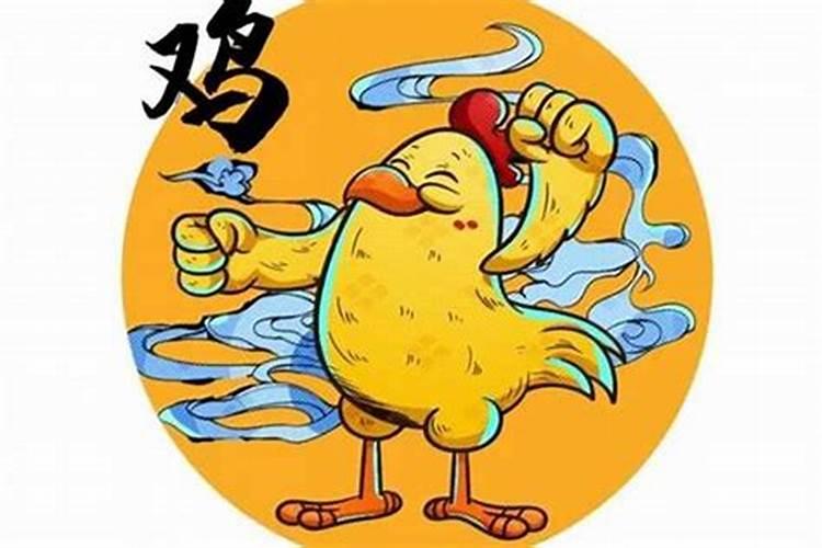 69年的鸡和84年的鼠合不合