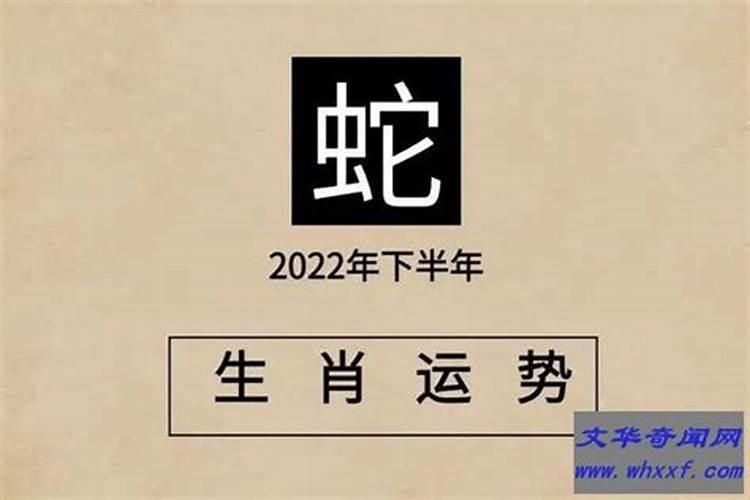 属蛇人2022年犯太岁吗