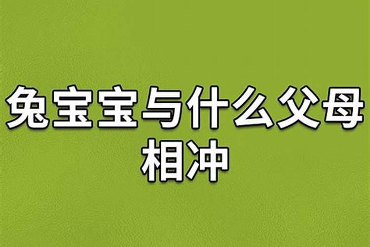 兔宝宝和什么属相父母相冲