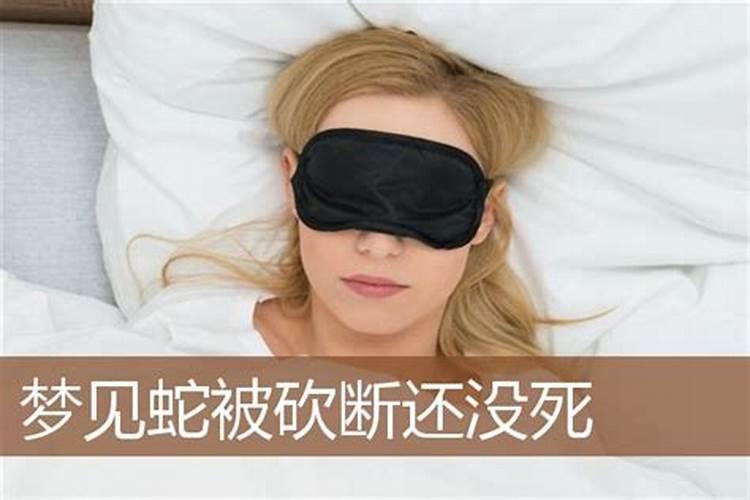 女人梦见把蛇砍断了是什么意思周公解梦