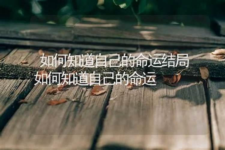 怎么才能知道自己的命运