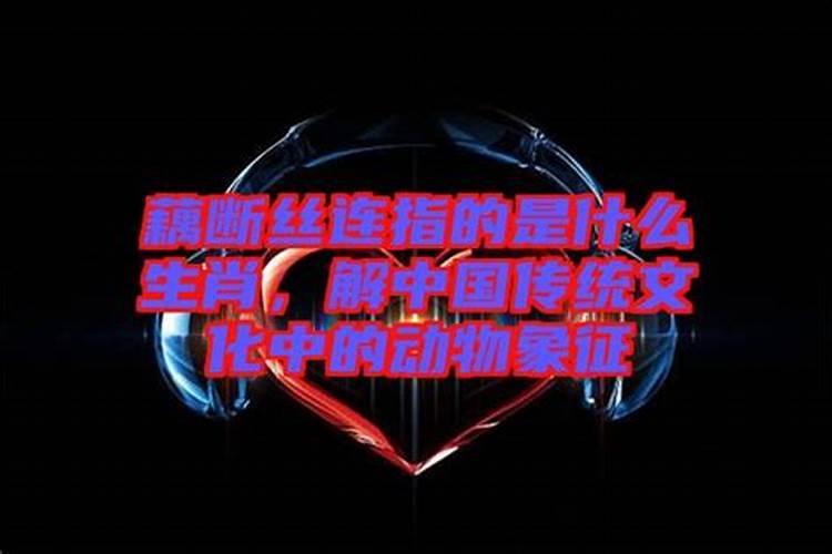 藕断丝连代表什么生肖动物