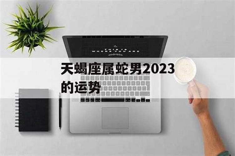 天蝎蛇男2023运气