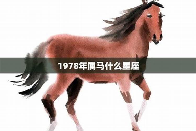 1978年属马什么颜色最好