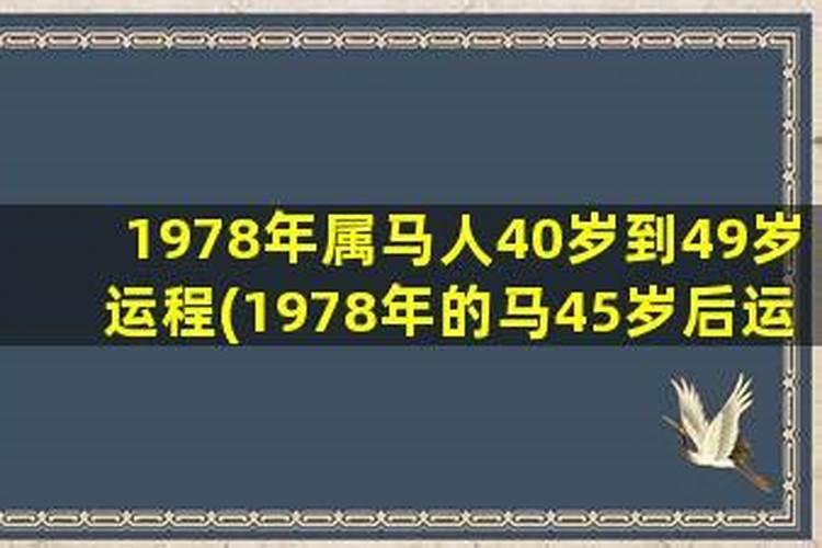 1978年的马哪一年运气好