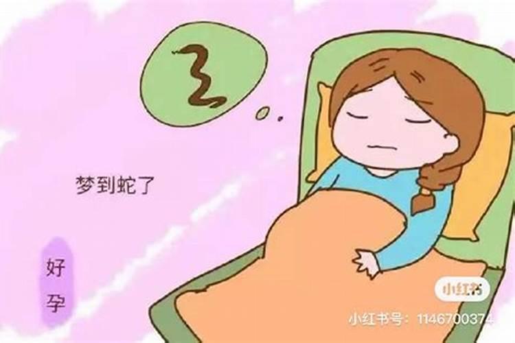 经常梦见小女孩是什么预兆解梦梦见蛇咬自己