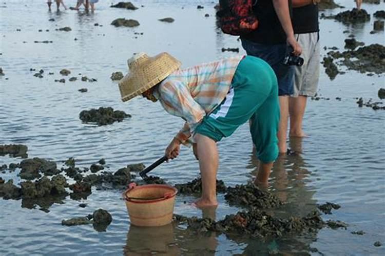 梦见水退潮后捡海鲜好不好