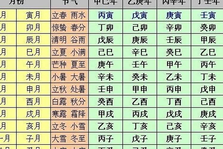 丙寅己亥己巳壬申八字