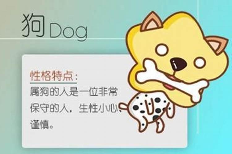 做梦梦见掉了三颗牙是什么意思