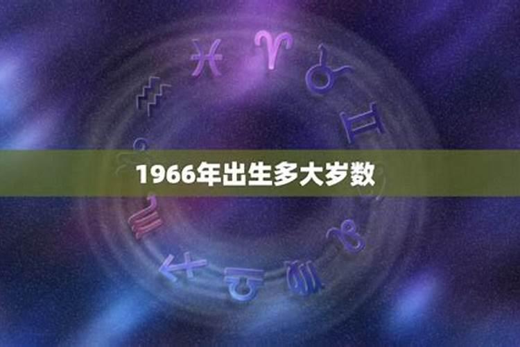 1966年多大属什么