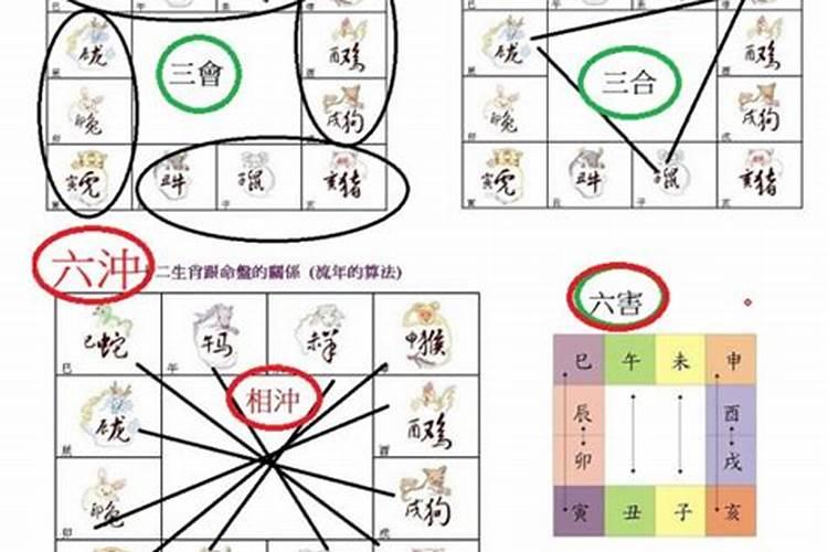 夫妻属相犯六冲是咋回事