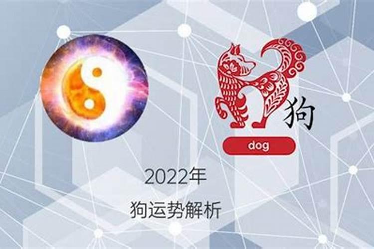 属狗2022年运气如何