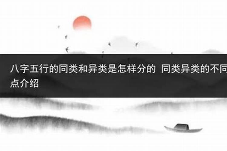 八字异类的是不和吗