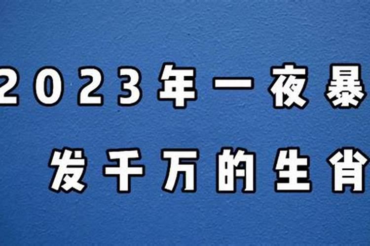 2023一夜暴富的生肖