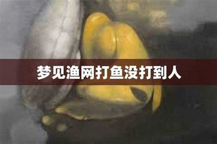 做梦梦到打鱼而且打到好多