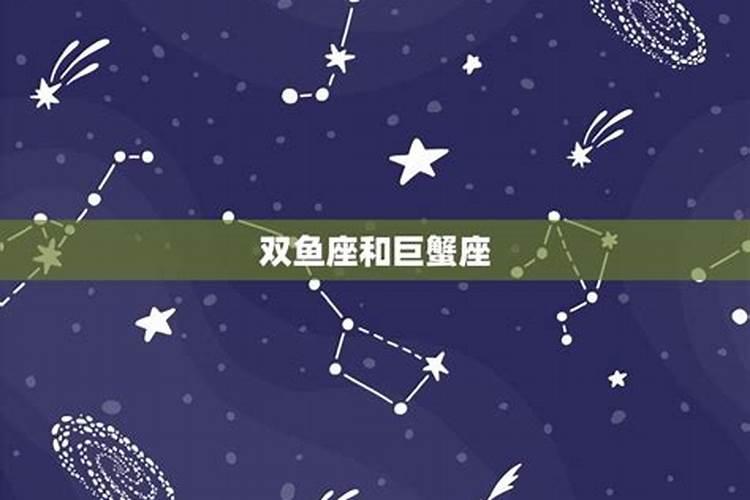 双鱼座与什么星座最配对指数高