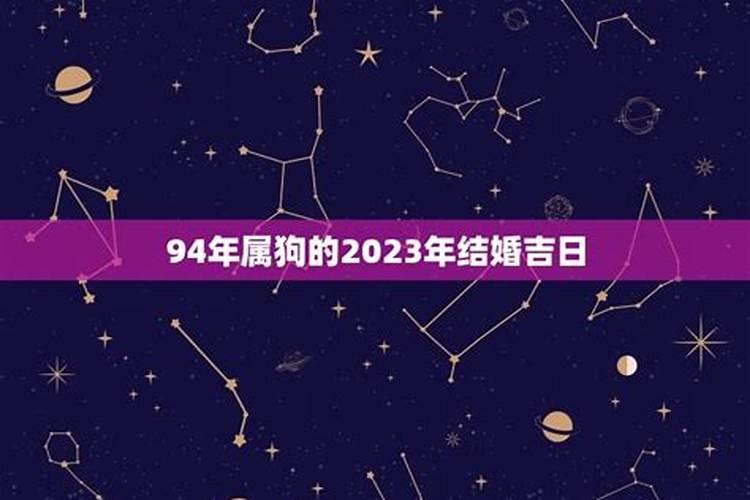 男属马女属狗2023年结婚吉日是哪几天