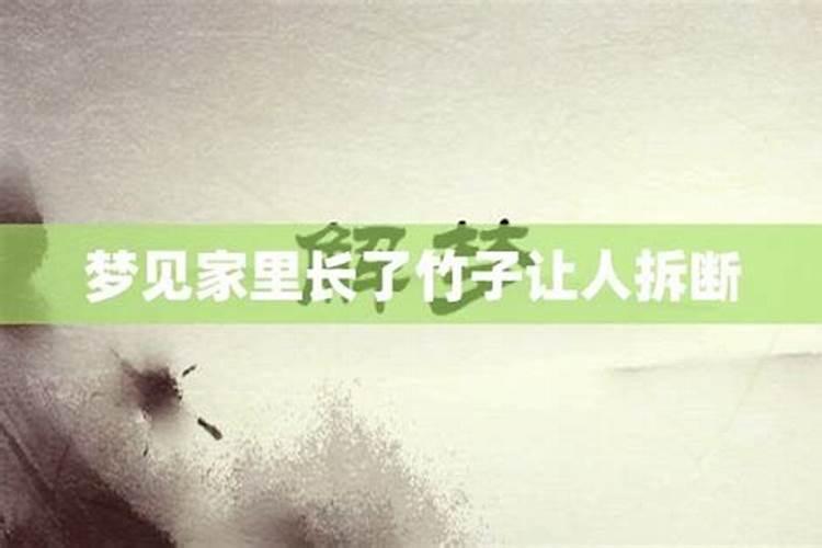 已婚女人梦见竹子一根断了