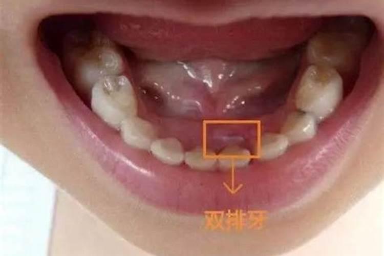 生肖鸡在牛年的运程