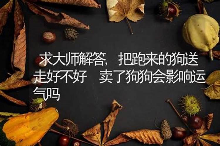 梦见别人给我送茶叶