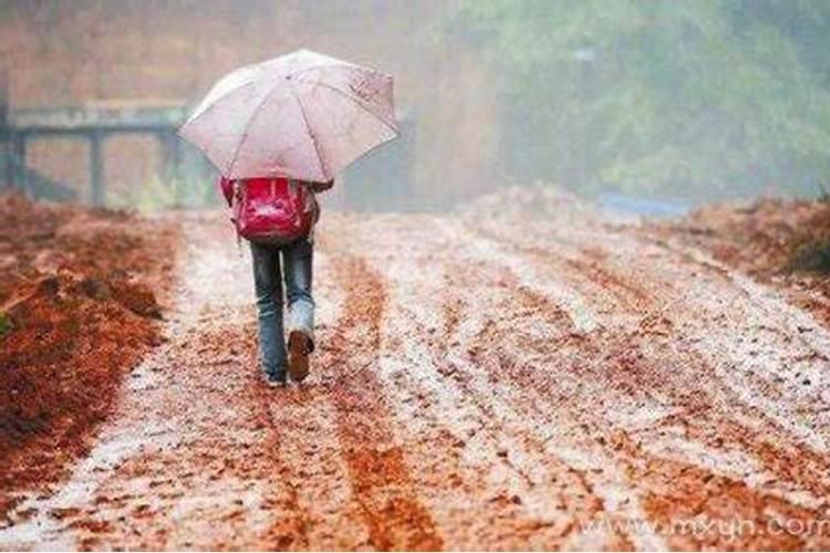 梦见道路有水难走什么意思