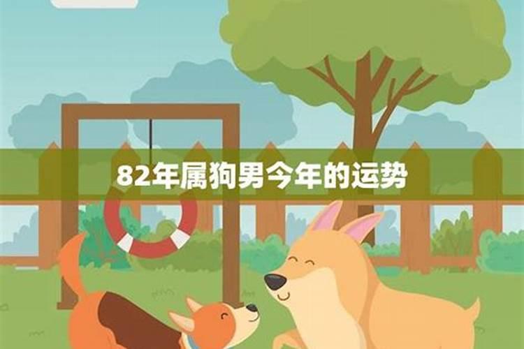 狗年的运势怎么样12月生日