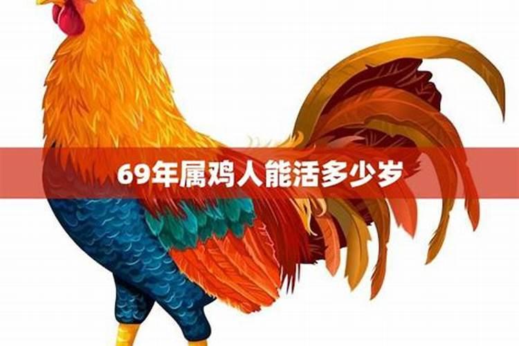 69年属鸡人晚年命运如何